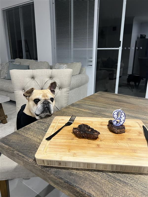 Frankie at the table