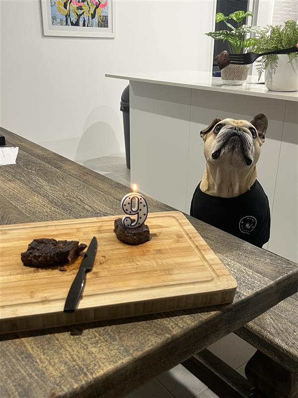 Frankie with her birthday steak