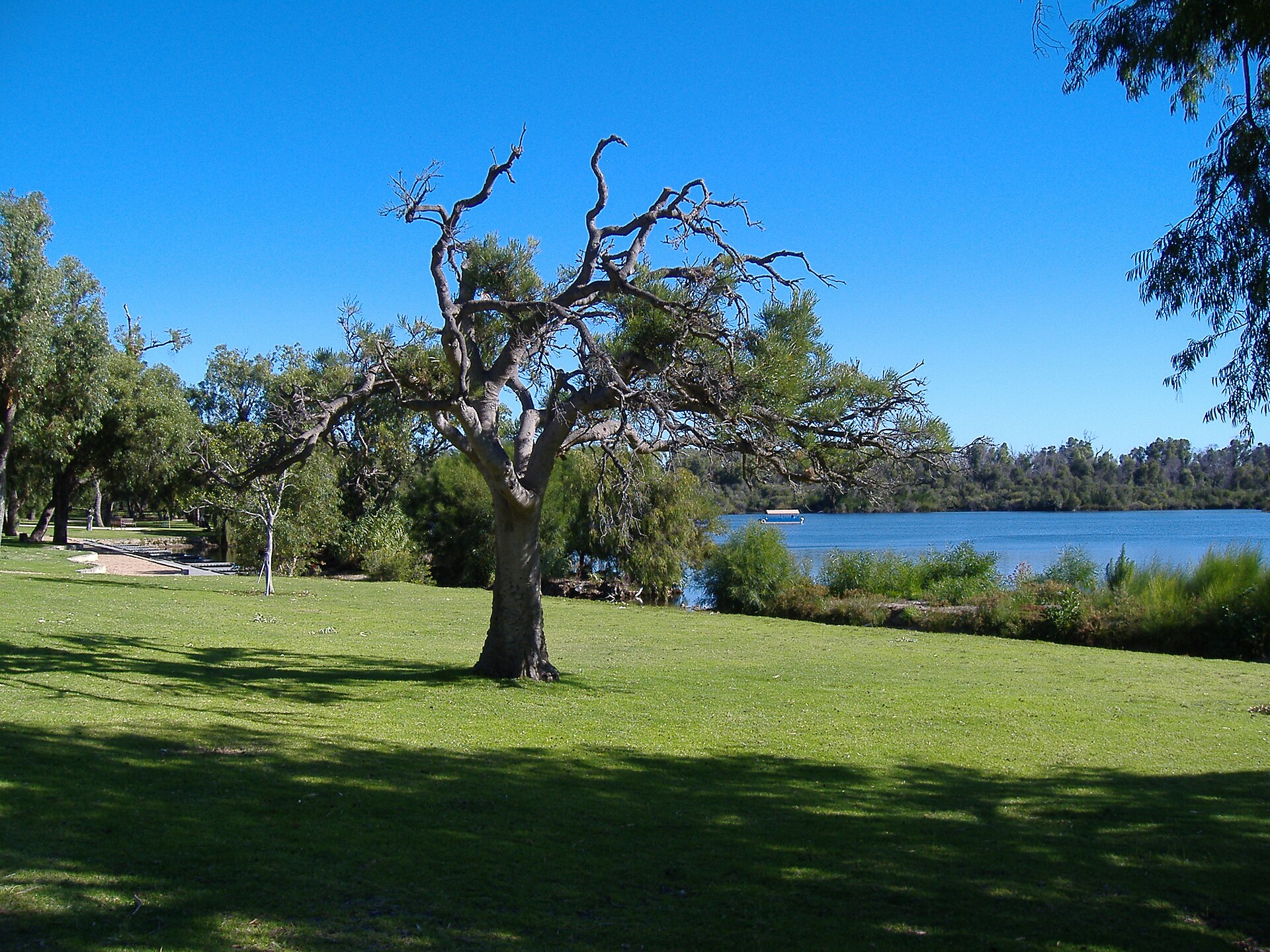 Yanchep National Park